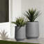 Dalya Cachepot-86901324