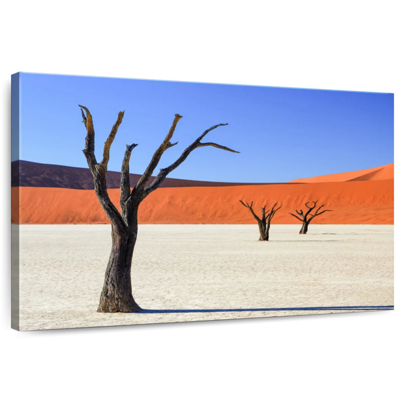 Alvord Namibia Petrified Forest, 16" H x 24" W