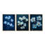 Décoration murale 3 pièces Moody Blossom Contrast - cornouiller-129076157-129076164