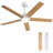 Julicia 52'' Ceiling Fan with LED Lights and Wall Switch-363906768