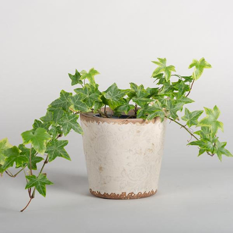 Emeline Ceramic Cachepot