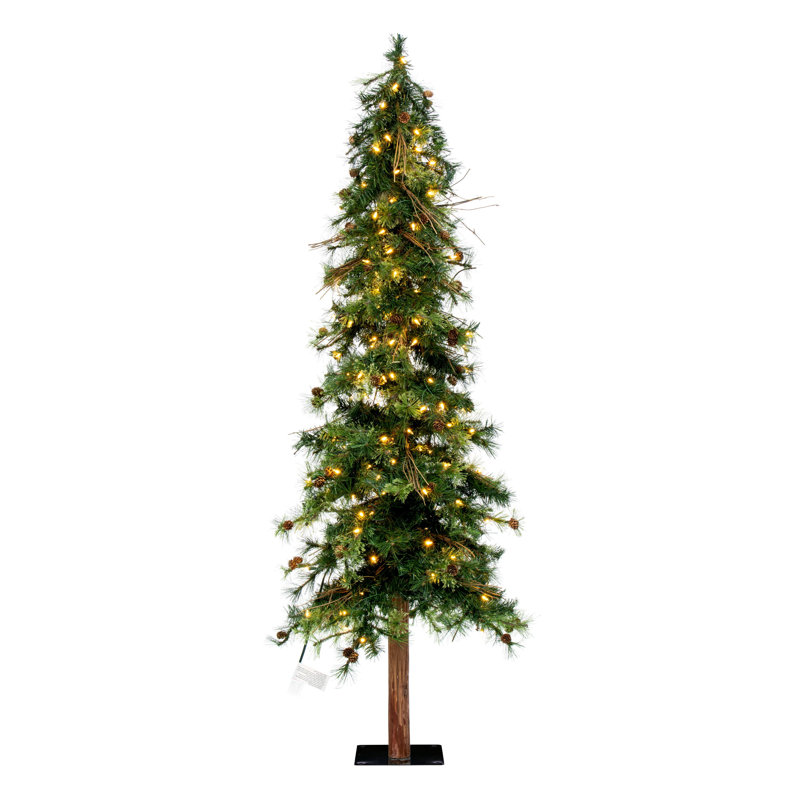 Galarza Lighted Pine Christmas Tree, 6' H