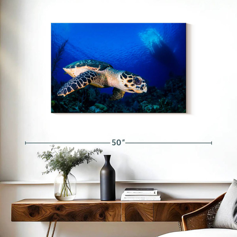 Brampt Underwater Hawksbill Turtle, 24" H x 36" W