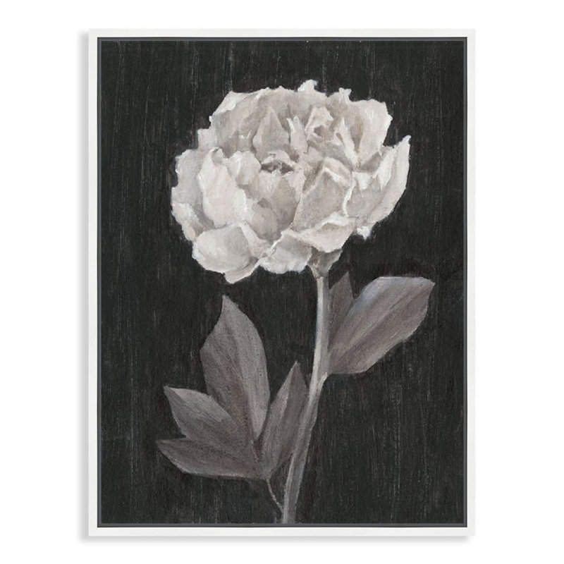«Anemone Posy I» par Popp Grace - reproduction encadrée sur toile