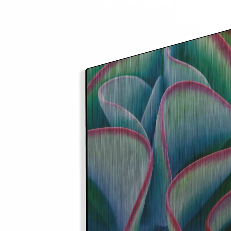 " Succulent VII " by Dennis Frates, 24" H x 16" W