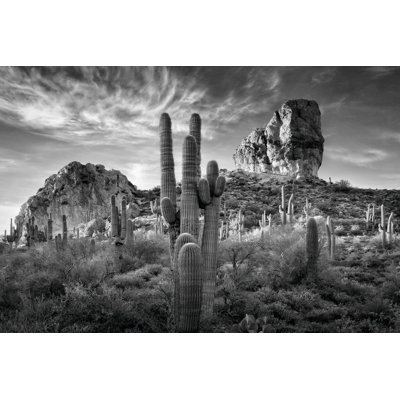 B&W Desert View I