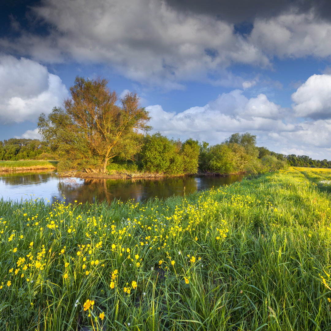 Sommerlandschaft mit Fluss von Andrew Mayovskyy - Grafik auf Leinwand - Wrapped Canvas