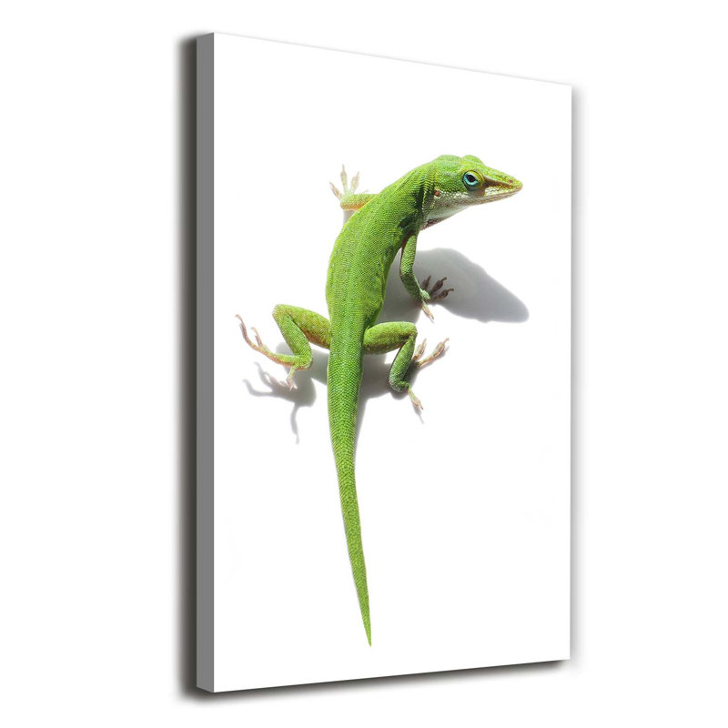 Green Lizard - Wrapped Canvas Print