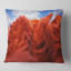 Coussin décoratif antilope à canyon de photographie-29339670-29339666