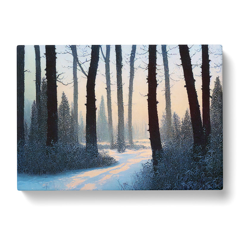 Compelling Winter Forest - Wrapped Canvas, 35cm H x 50cm W x 3cm D