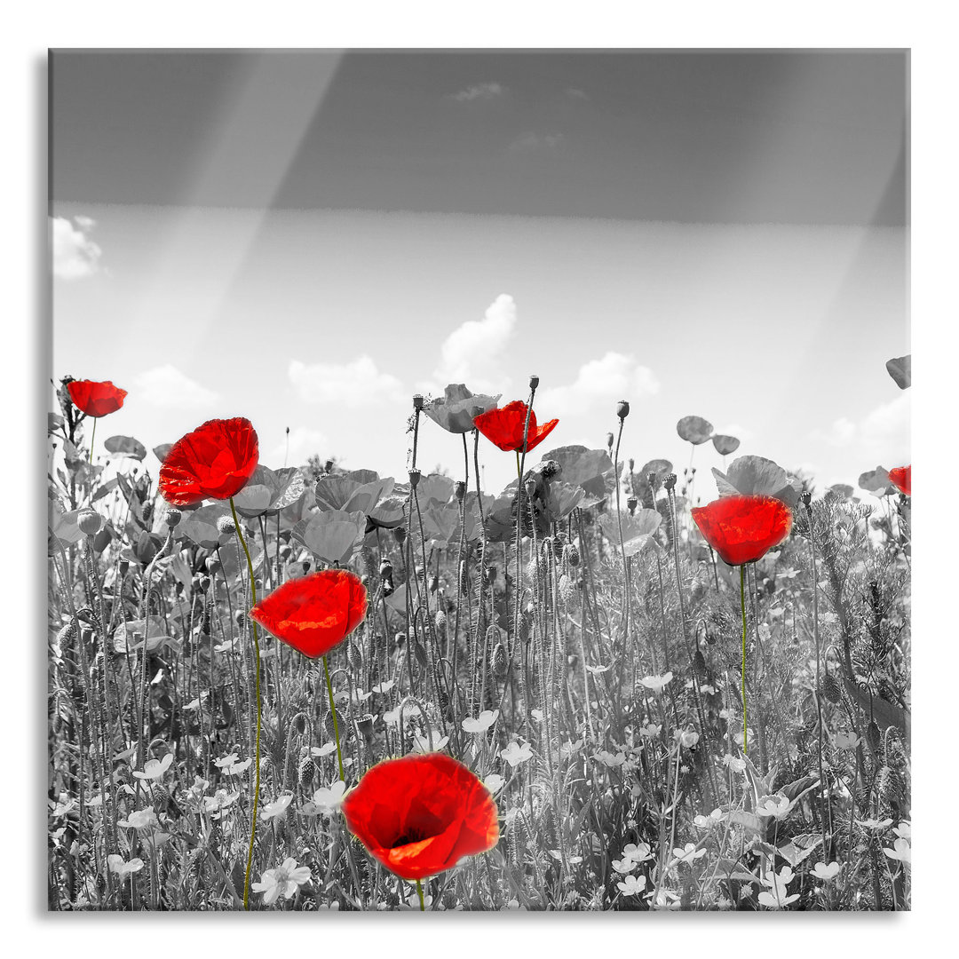 Glasbild Beautiful Bright Red Mohn