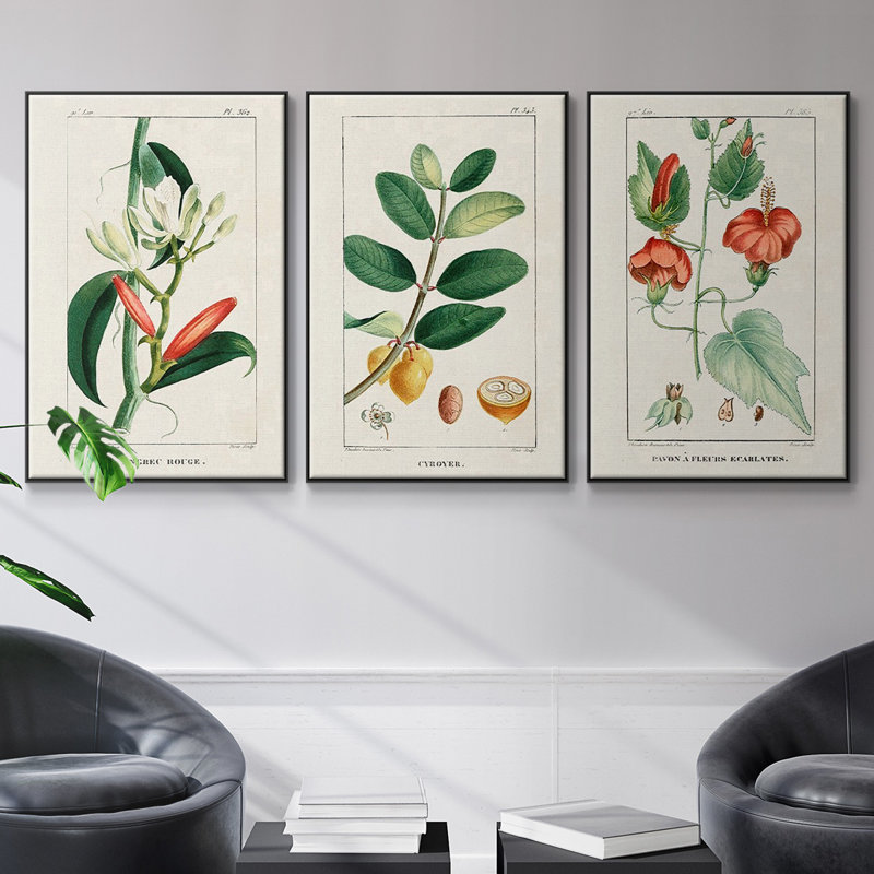 " Turpin Tropical Botanicals IV " 3 - Pieces, Noir, H 36 po x l 72 po x P 2 po