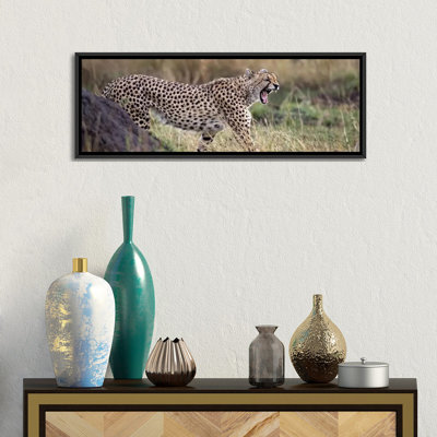 «Guépard marchant dans un champ», reproduction sur toile