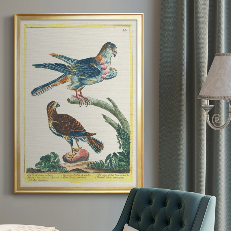 Toile encadrée de qualité supérieure Pastel Birds III - prête à être accrochée, H 42,5 po x l 30,5 po x P 1 po, Cadre doré