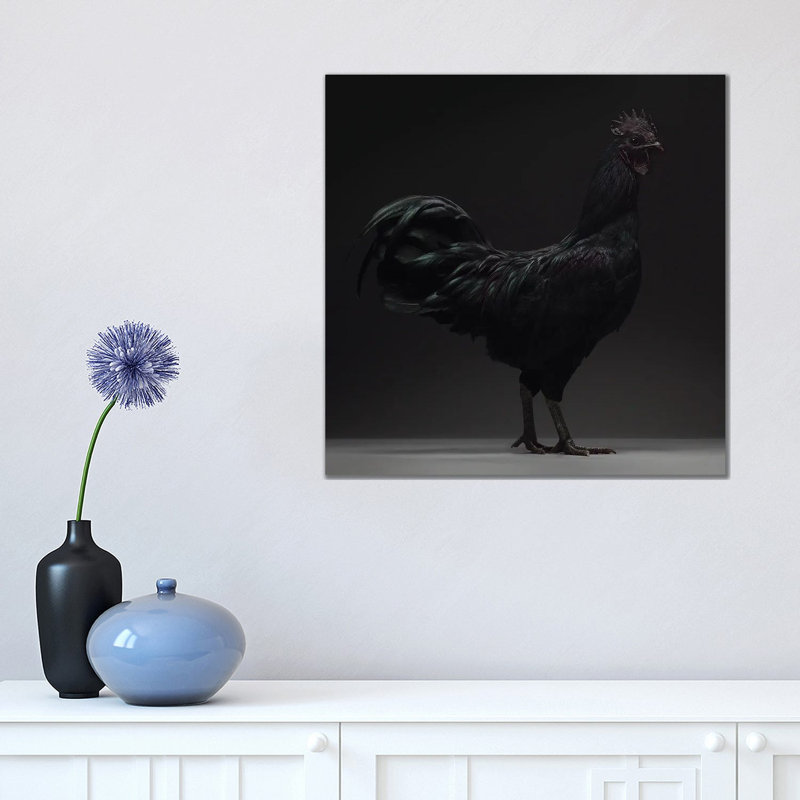 Ayam Cemani by CHICken - Wrapped Canvas Print, 45.72 cm H x 45.72 cm W x 1.91 cm D
