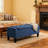 Storage Ottoman Bench-926514813-926514812