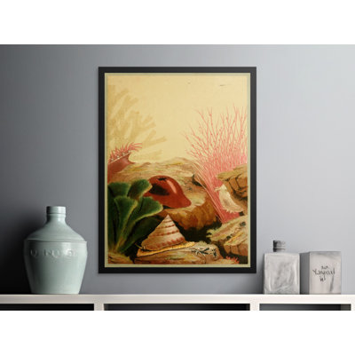 Aniyah Print