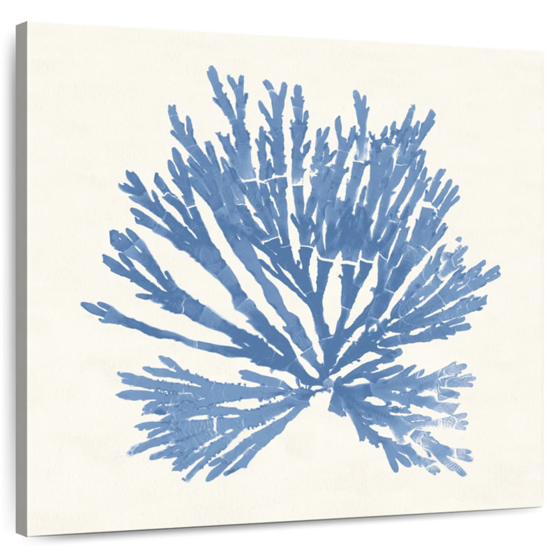 Brampt Pacific Sea Mosses II Light Blue, 10" H x 10" W