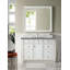 Bristol 48'' W Single Vanity-121689382-27215779-35610171