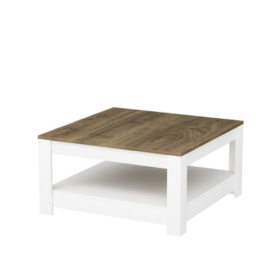 Animesh coffee table