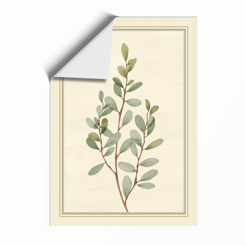 Study Botanical - Framed Print, Unframed, A3 - 42.0 x 29.7 cm