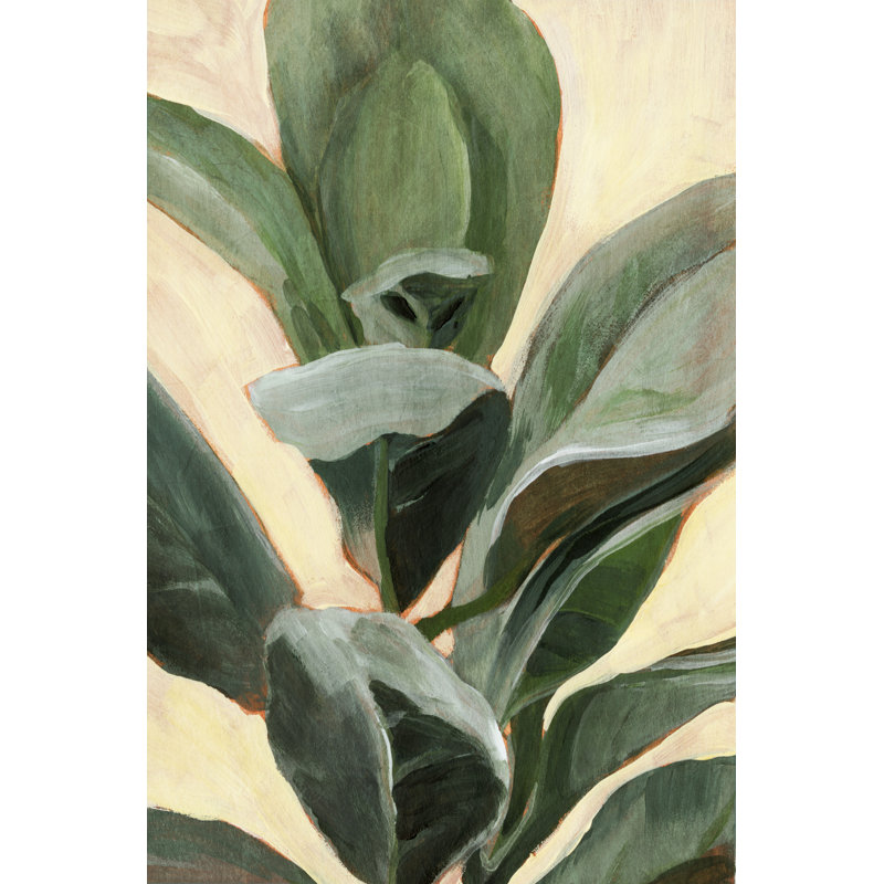 Reproduction d’art sur toile tendue « plant Study II » par Annie Warren, H 18 po x l 12 po