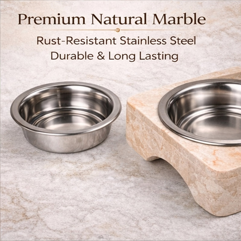 Anti-Skid Pet Bowl