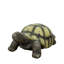 Grande statue de tortue, sculpture de jardin en béton, décoration réaliste pour l'intérieur et l'extérieur