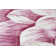 Ayalur Floral Indoor Rug