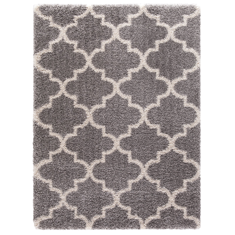 Tapis décoratif brun à poils longs Popham, Rectangle 5 pi 3 po x 7 pi 3 po