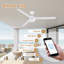 Ventilateur de plafond intelligent à 3 pales intérieur / extérieur avec lumière DEL, télécommande et contrôle WiFi / Alexa, moteur à courant continu silencieux, à intensité variable, pales réversibles-112578526-112578525