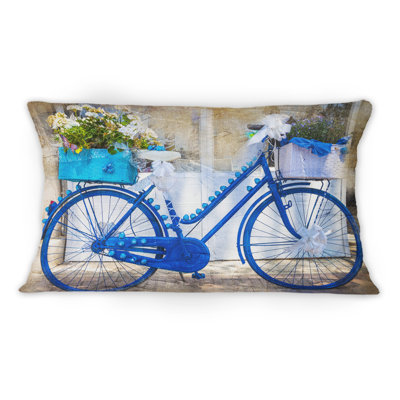 Throw Pillow