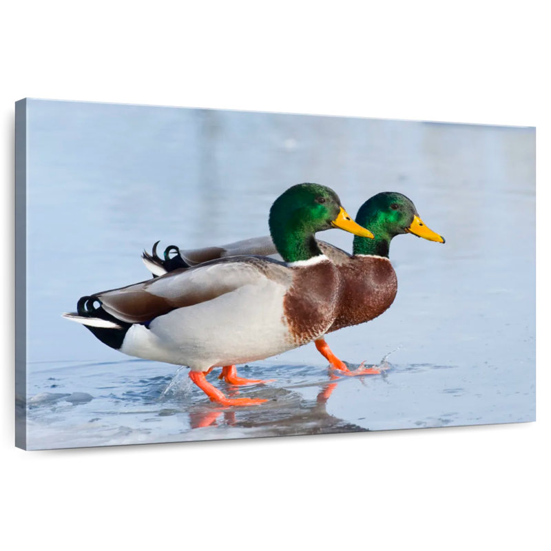 Brampt Mallard Duck Duo, 8" H x 12" W