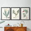 Soft Tropical IV - reproduction encadrée sur mesure de qualité supérieure mate - 3 pièces-419447262