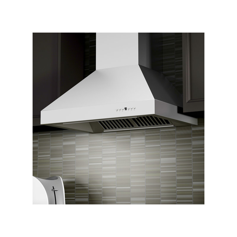 48" Professional 700 CFM Ducted Wall Mount Range Hood in Stainless Steel