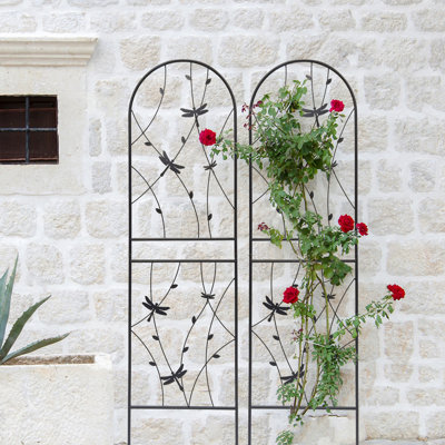 Treillis en métal pour jardin