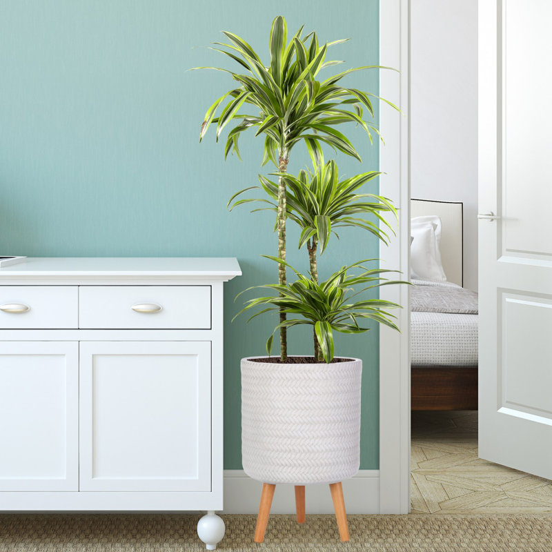 Plaited Style Cylinder Round Planter with Feet, White, 46cm H x 30cm W x 30cm D