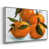 Silver Framed Canvas is unavailable