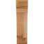 Attelle de genou olympique-70294184-31230592-29309935