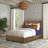 Haven Storage Bed-105914563