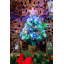 2' H Lighted Artificial Christmas Tree