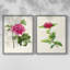Impression encadrée PrettyPinkBotanicalsI-Premium - prête à être accrochée - aucun clou requis - aucun clou requis-1909328008-1909328022