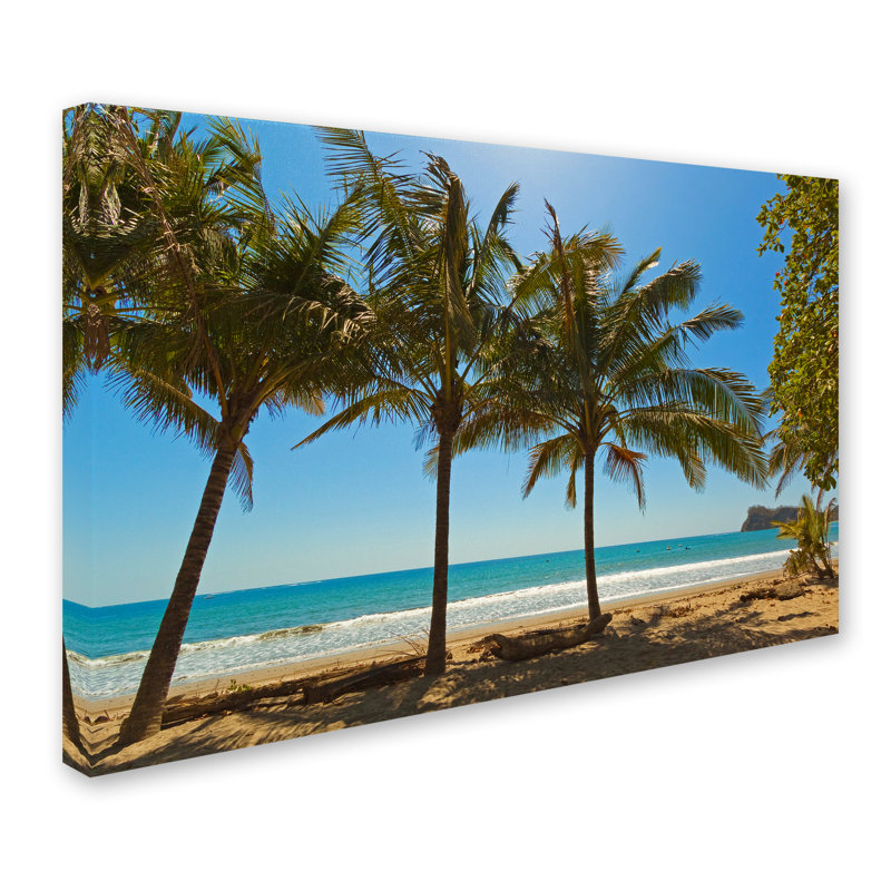 Ann «Palm Trees 2», reproduction de photo sur toile tendue Ann, H 30 po x l 47 po