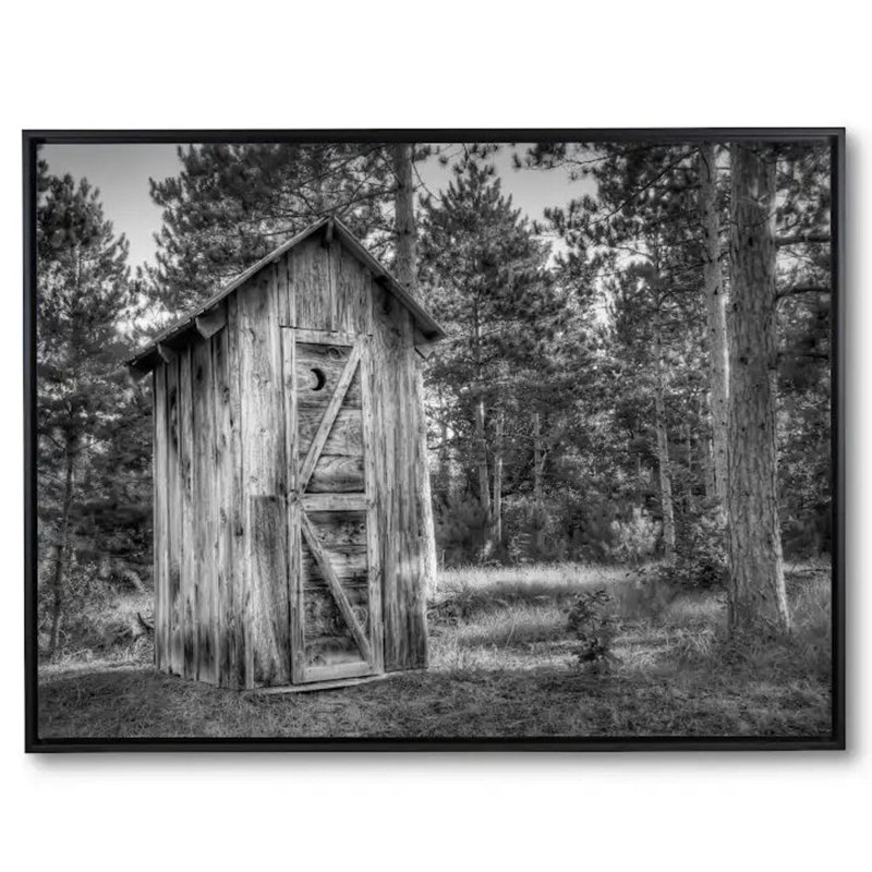 The Outhouse Print by Scott Norris, Black Floater Framed Canvas, 20" H x 26" W, No Mat