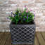 Samuel Alexander Pot Planter