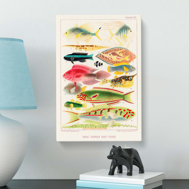 Great Barrier Reef Fishes XVI by W. Saville-Kent - Wrapped Canvas, 76cm H x 50cm W x 3cm D