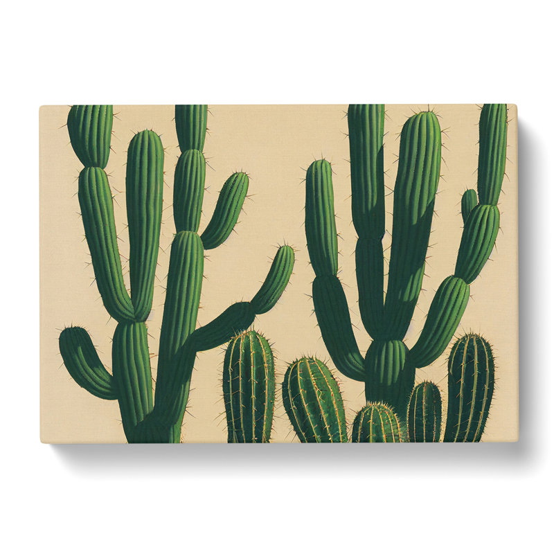 A Contemporary Cactus - Wrapped Canvas, 40cm H x 60cm W x 3cm D