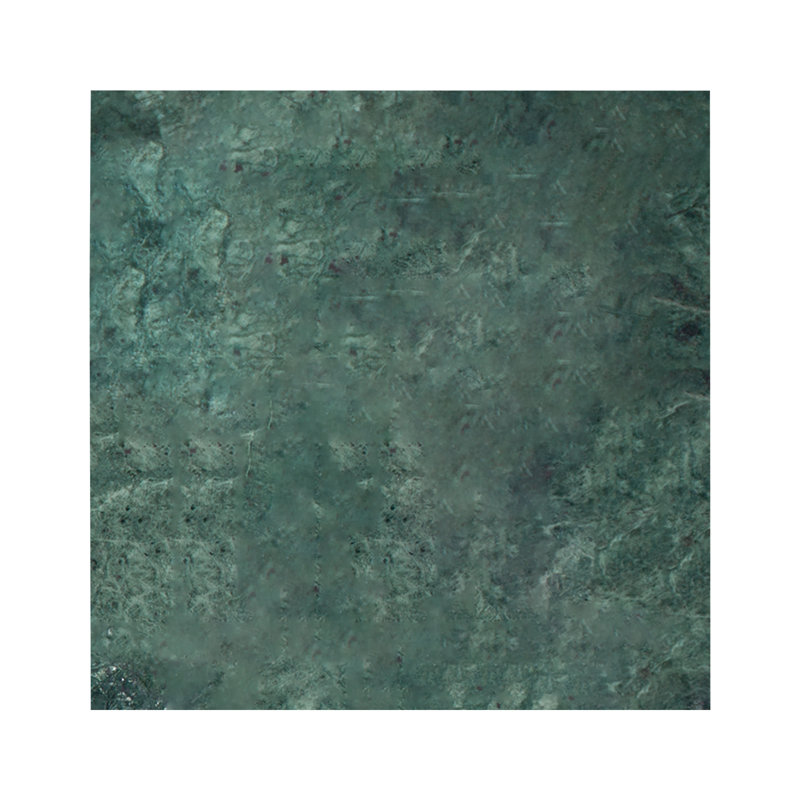 Marbre Verde à damier adouci

Mosaïque murale et de plancher en marbre vert

Carrelage mural et sol mosaïque, Vert