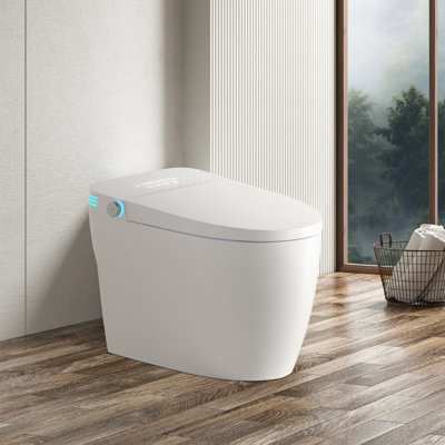 Tankless Smart Toilet With Bidet Built In, One-Piece Bidet Toilet Seat, Auto Flush,Heated Seat, Warm Water And Dry, Adjustable Temp,Remote Control Side Know