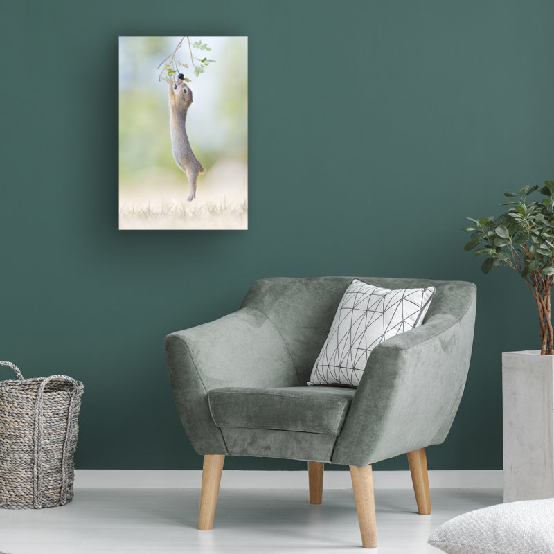 Henrik Spranz  Stretch Jump Canvas Art, 12" H x 19" W
